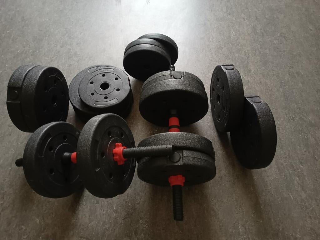 Halterset met schijven, totaal ongeveer 40 kg, Sport en Fitness, Fitnessmaterialen, Ophalen