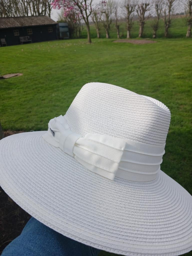 Hoed, NIEUW!, Ophalen, Nieuw, One size fits all