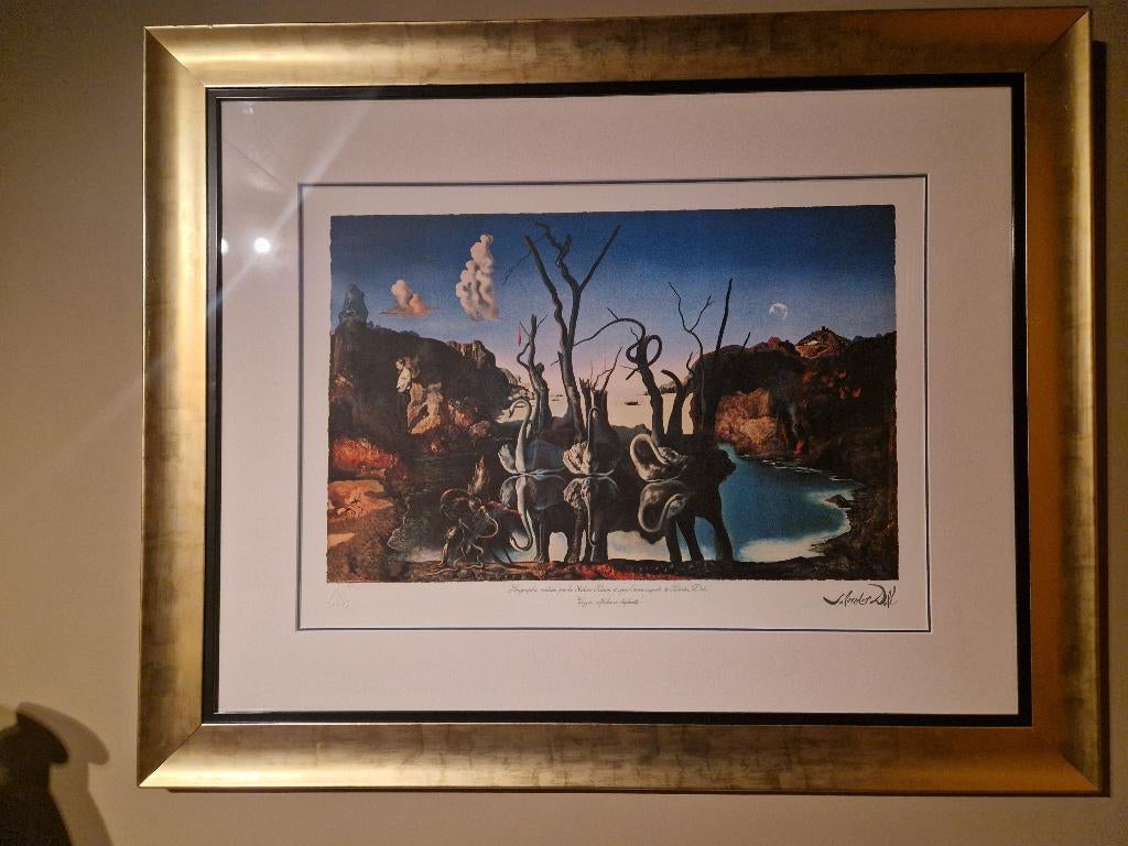 Salvador Dali " Reflection Of Elephants", Antiek en Kunst, Ophalen of Verzenden