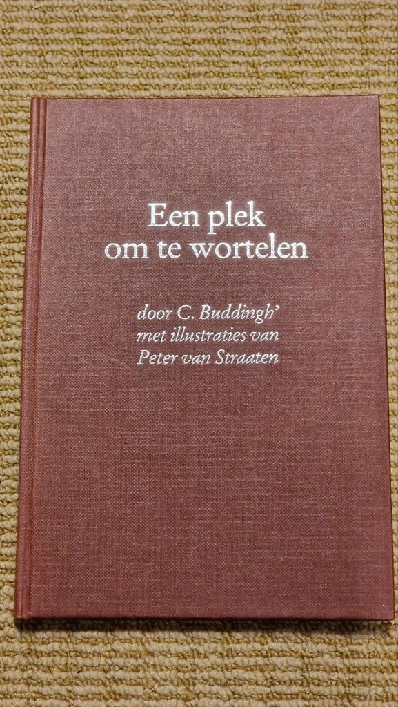 Een plek om te wortelen  - C. Buddingh', Boeken, Ophalen of Verzenden, Zo goed als nieuw