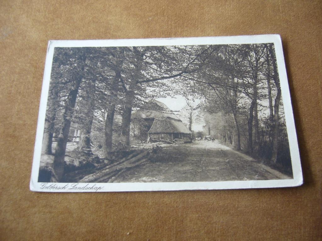 GELDERLAND  =  GELDERSCH LANDSCHAP MET BOERDERIJ, Ophalen of Verzenden, 1920 tot 1940, Ongelopen, Gelderland