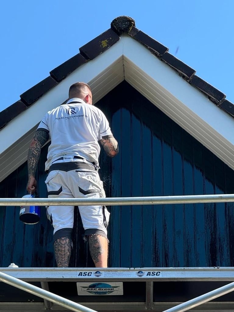 Professionele schilder, Kleuradvies, Behangen