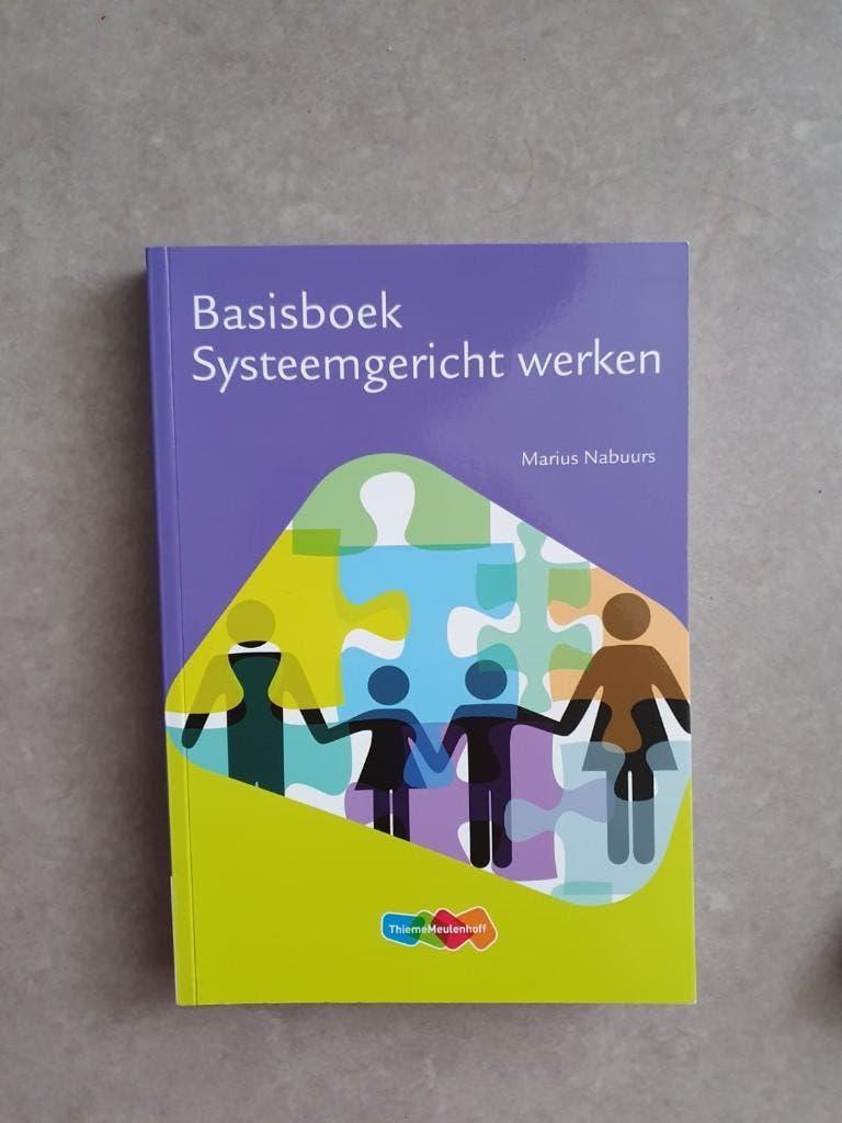 Studieboek "Basisboek systeemgericht werken", Ophalen of Verzenden, Zo goed als nieuw, Marius Nabuurs