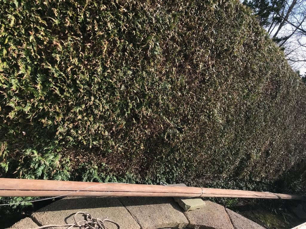 Nieuw Boot/zeilmast en witte zeilen, Watersport en Boten, Zeilen en Zeiltoebehoren, Ophalen, Minder dan 15 m², Overige typen, Zo goed als nieuw