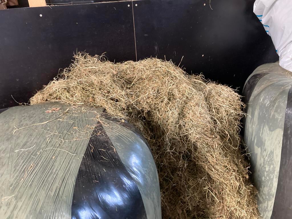 Hooi  te koop, Ophalen of Verzenden