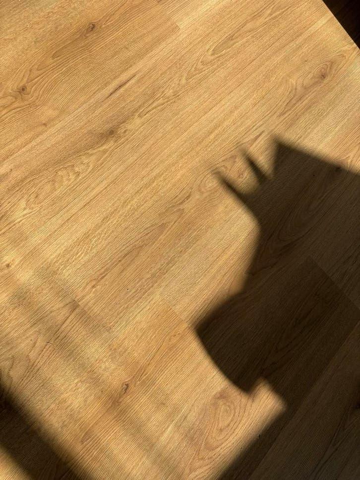 Laminaat naturel eiken Karwei, +/- 19m2, Ophalen, Gebruikt, Bruin, 10 tot 25 m²