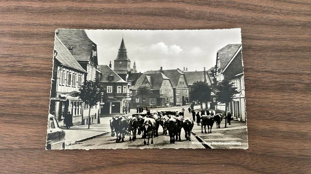 Winterberg Koeien door de straat, Verzamelen, Ophalen of Verzenden, 1940 tot 1960, Ongelopen, Duitsland