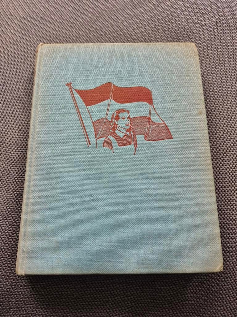 Oude Boek: Maar die vlag verlaten... nooit!, Boeken, Ophalen of Verzenden, Gelezen, Fenna Feenstra, Fictie algemeen