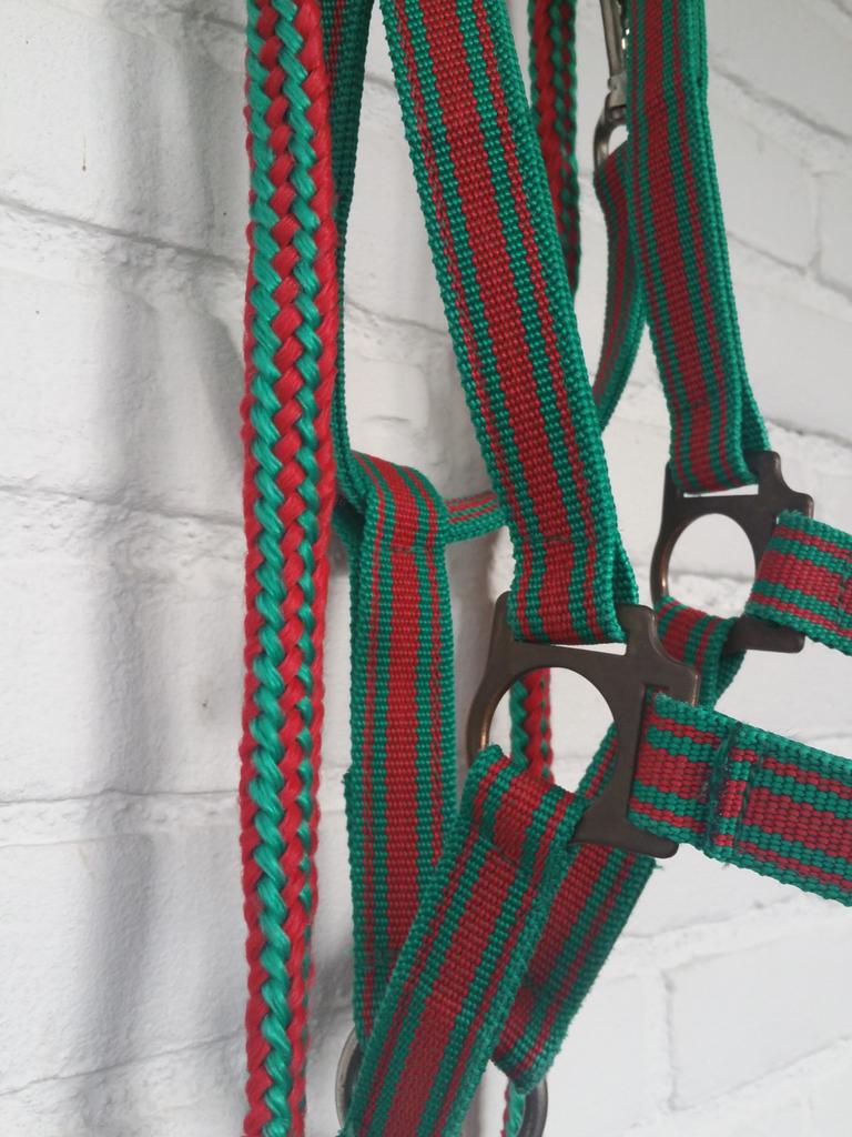 Halster plus halstertouw maat 2 en maat 3, Ophalen, Gebruikt, Overige soorten