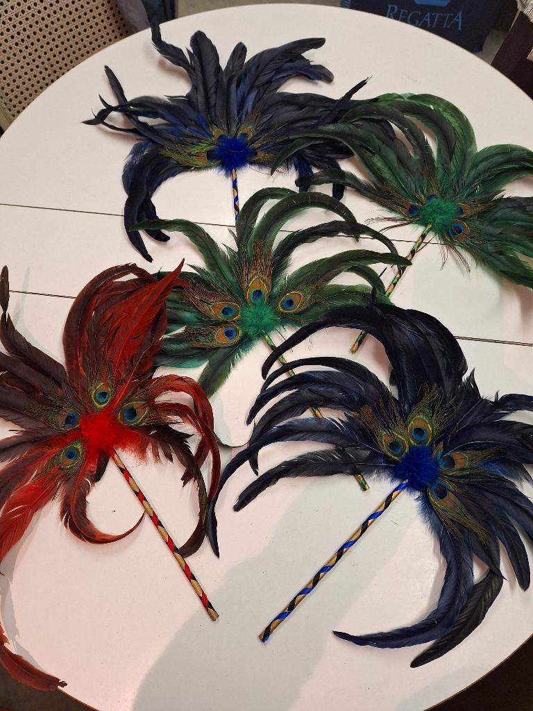 5 carnaval pluimdecoraties, Ophalen of Verzenden, Nieuw, Jongen of Meisje