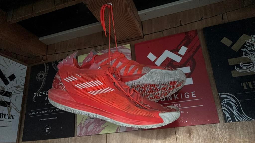 7 paar gebruikte volleybal schoenen maat 53 1/3, Ophalen, Gebruikt, Schoenen