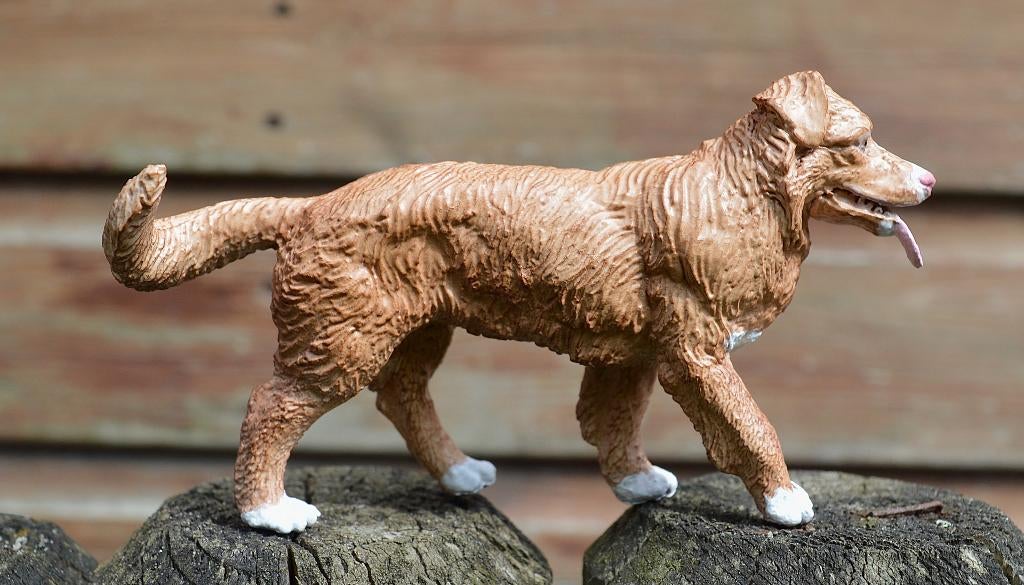 schleich nova scotia duck tolling retriever, Ophalen of Verzenden, Zo goed als nieuw, Hond of Kat, Beeldje of Figuurtje