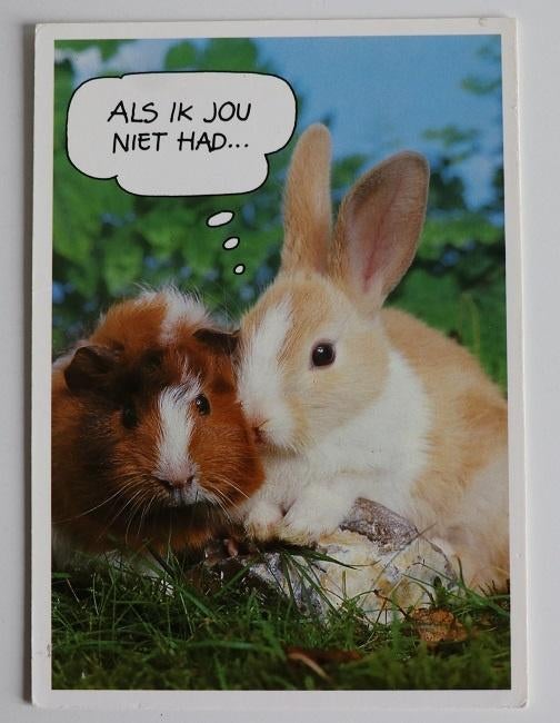 Cavia en konijn "als ik jou niet had...", Verzamelen, Ophalen of Verzenden, 1980 tot heden, Ongelopen, Knaagdier