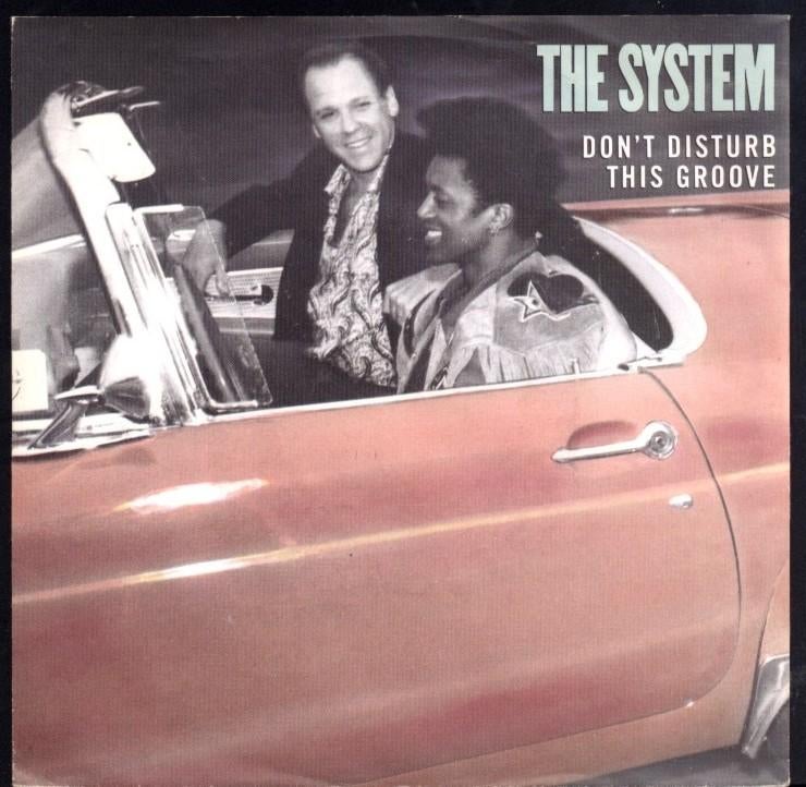 Single  -  THE SYSTEM - Don't disturb this groove, Ophalen of Verzenden, Zo goed als nieuw, Pop