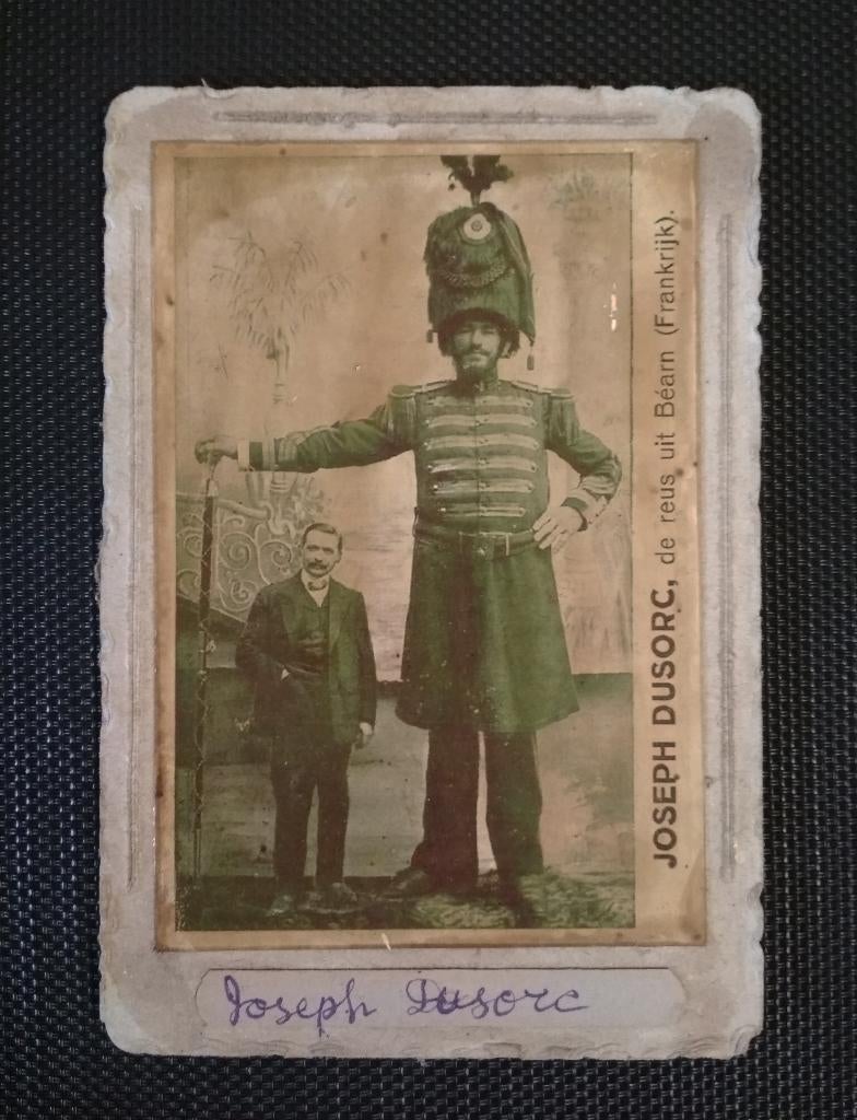 Drie foto's van reuzen, Verzamelen, Foto's en Prenten, Gebruikt, Verzenden, Foto, Buitenland