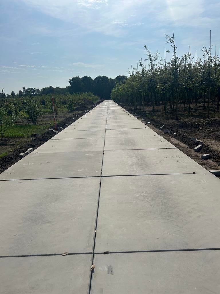 Betonplaten stelconplaten industrieplaten winter aanbieding!, Overige typen, Nieuw, Ophalen of Verzenden, 10 m² of meer