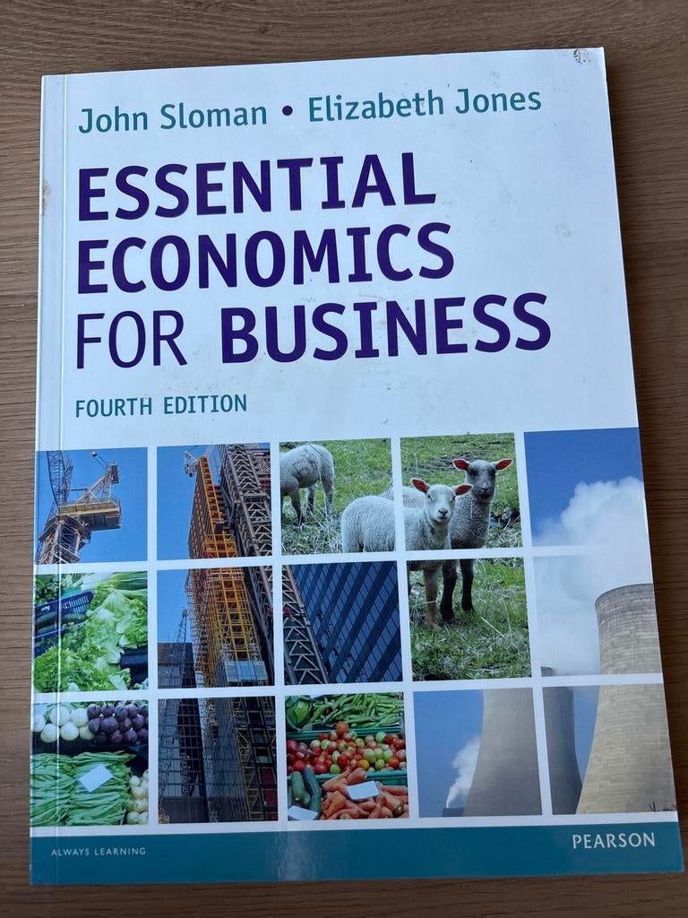 Essential Economics for Business - John Sloman, Ophalen of Verzenden, Zo goed als nieuw, Economie en Marketing