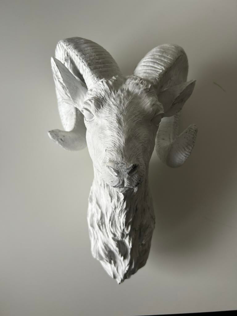 Wanddecoratie steenbok, Ophalen, Zo goed als nieuw