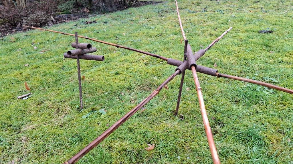 Dakboomsteunen, Ophalen of Verzenden, Bloeit niet, Halfschaduw, Overige soorten