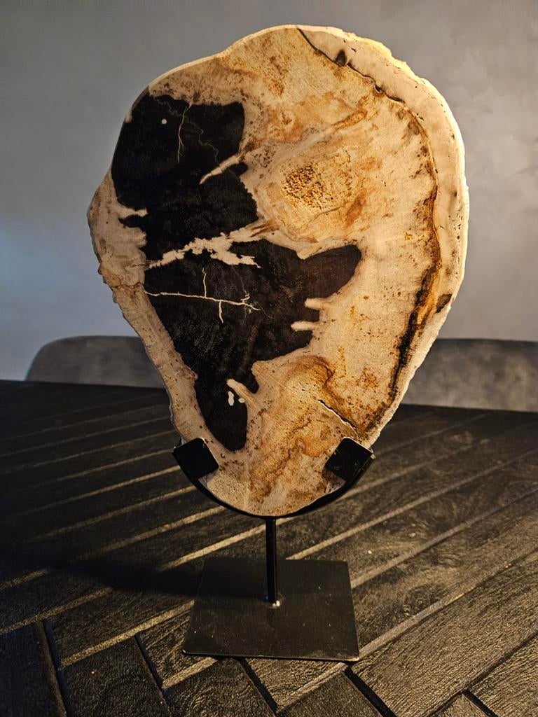 Versteend hout op standaard, Ophalen of Verzenden, Mineraal