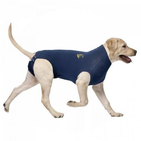 2 hondenshirt, Dieren en Toebehoren, Ophalen of Verzenden, Zo goed als nieuw, Hondenshirt