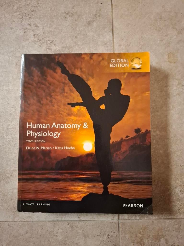 Human Anatomy & Physiology, Boeken, Studieboeken en Cursussen, Ophalen of Verzenden, Beta, Zo goed als nieuw, WO