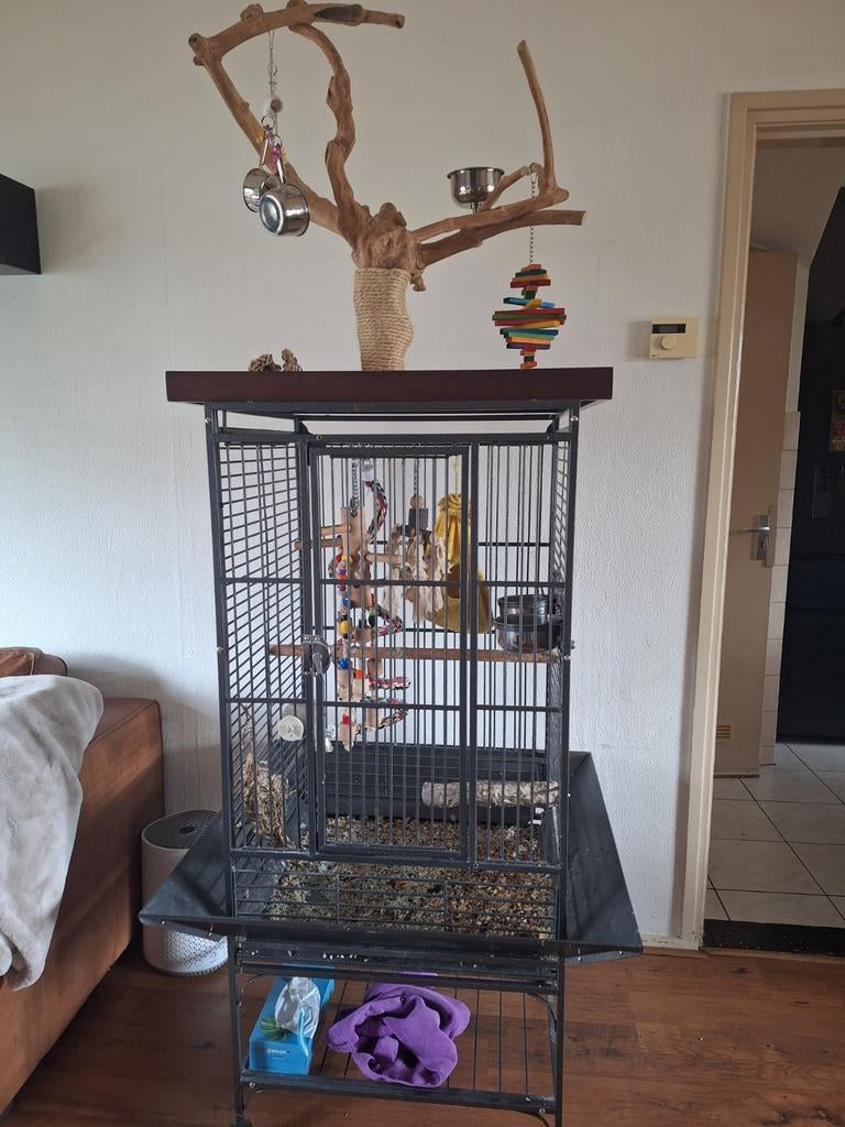 Strong papegaaienkooi, Dieren en Toebehoren, Ophalen, Metaal, Vogelkooi