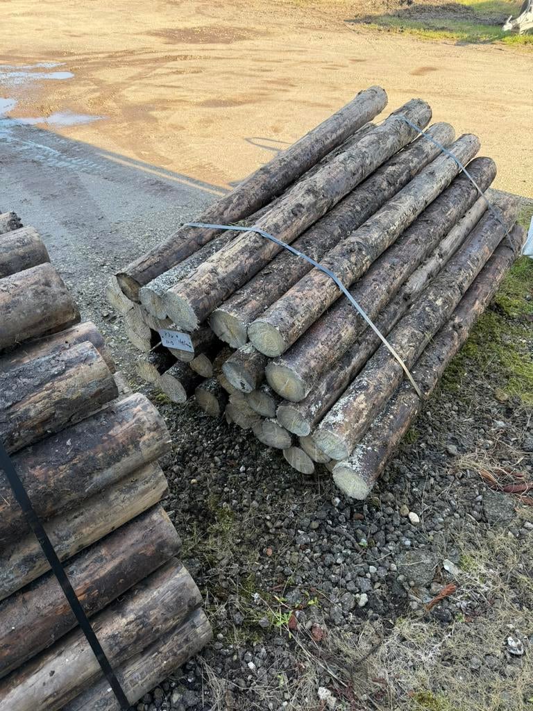 Palen, Ophalen of Verzenden, Zo goed als nieuw, Minder dan 180 cm, Palen