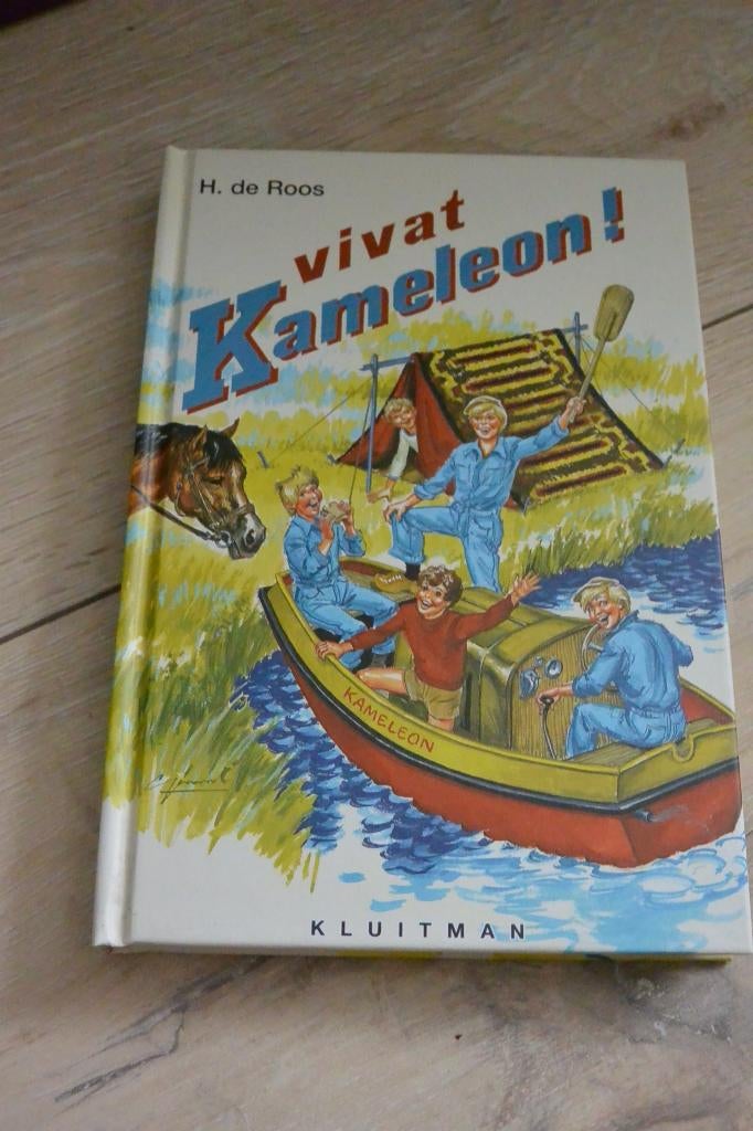 Boek Vivat Kameleon! - H. de Roos, Boeken, Ophalen of Verzenden, Gelezen, H. de Roos, Fictie algemeen