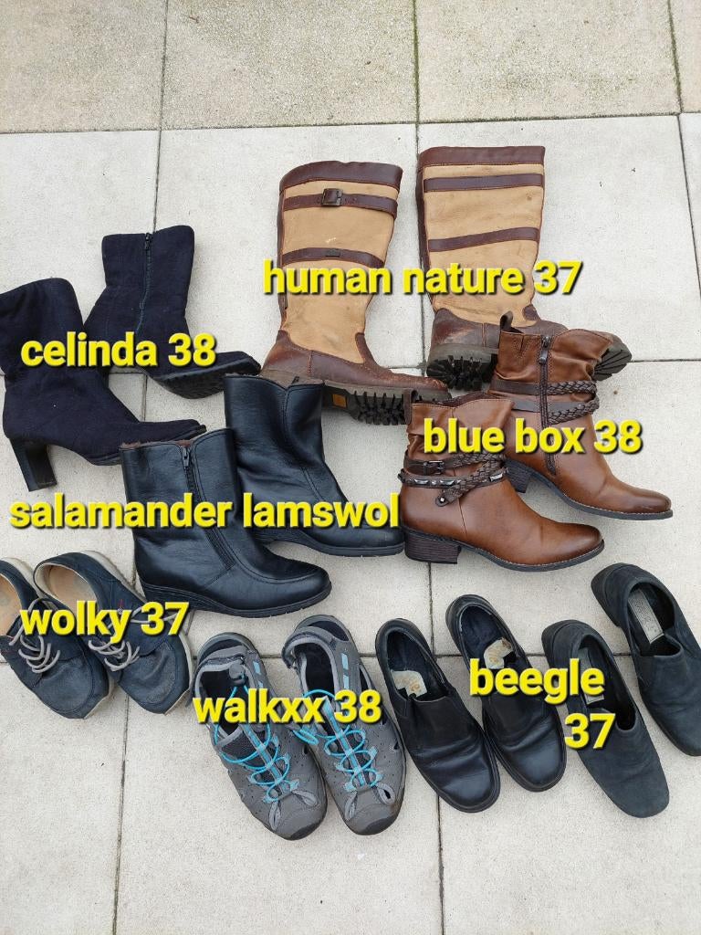 Salamander Walkxx Beegle Human Nature Wolky 37/38, Kleding | Dames, Schoenen, Bruin, Lage of Enkellaarzen, Ophalen of Verzenden