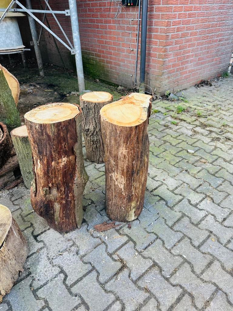 Boomstam, houtblok, kloven, spijkerslaan, Tuin en Terras, Minder dan 3 m³, Ophalen