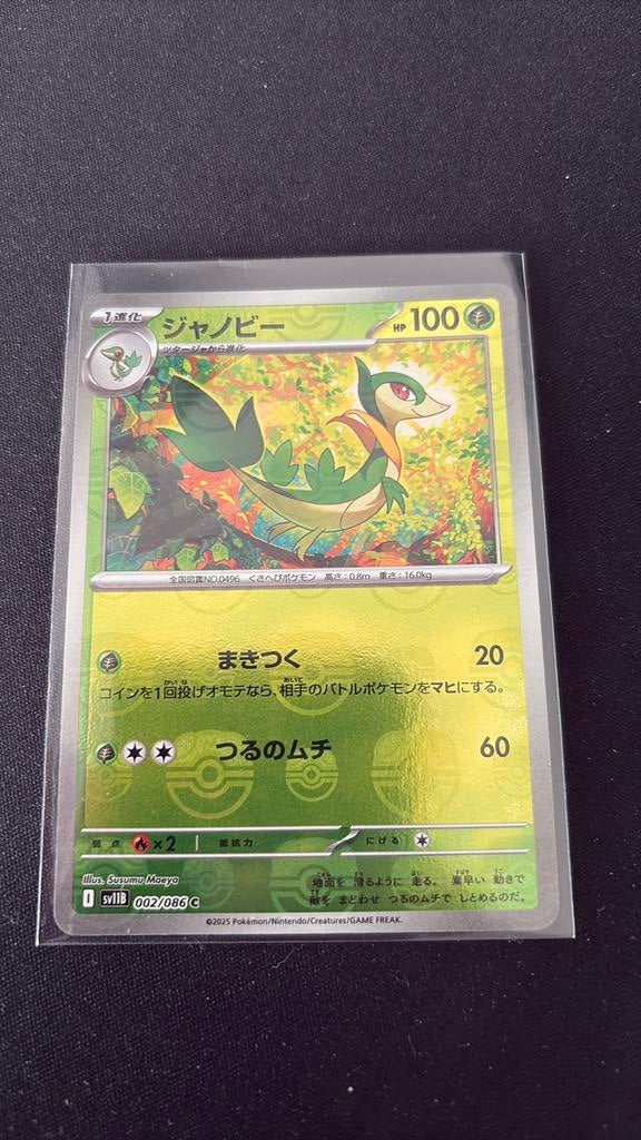 Servine Master Ball, Ophalen of Verzenden, Zo goed als nieuw