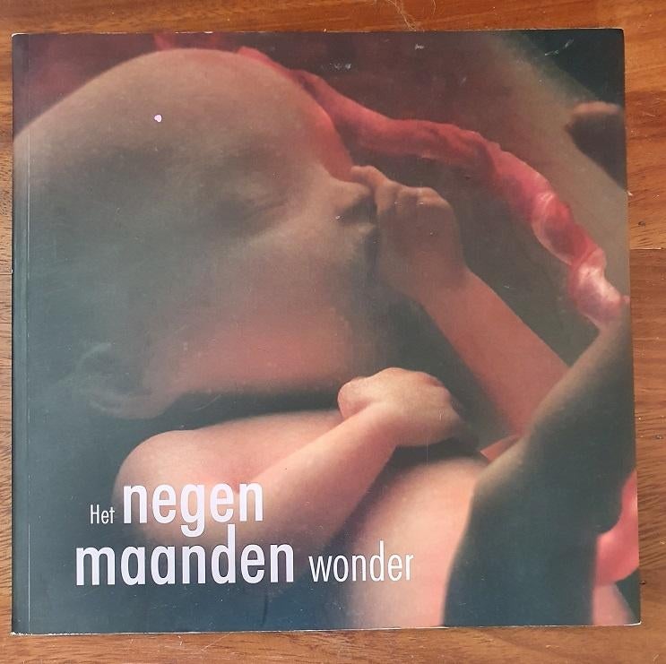 Het negen maanden wonder, Boeken, Ophalen of Verzenden, Zo goed als nieuw, Zwangerschap en Bevalling