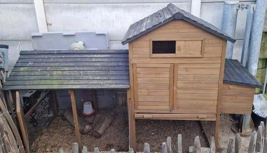 Kippenhok inclusief Bruine kip en Barnevelder kleine kip., Gebruikt, 250 tot 500 cm, Overige typen, Ophalen of Verzenden