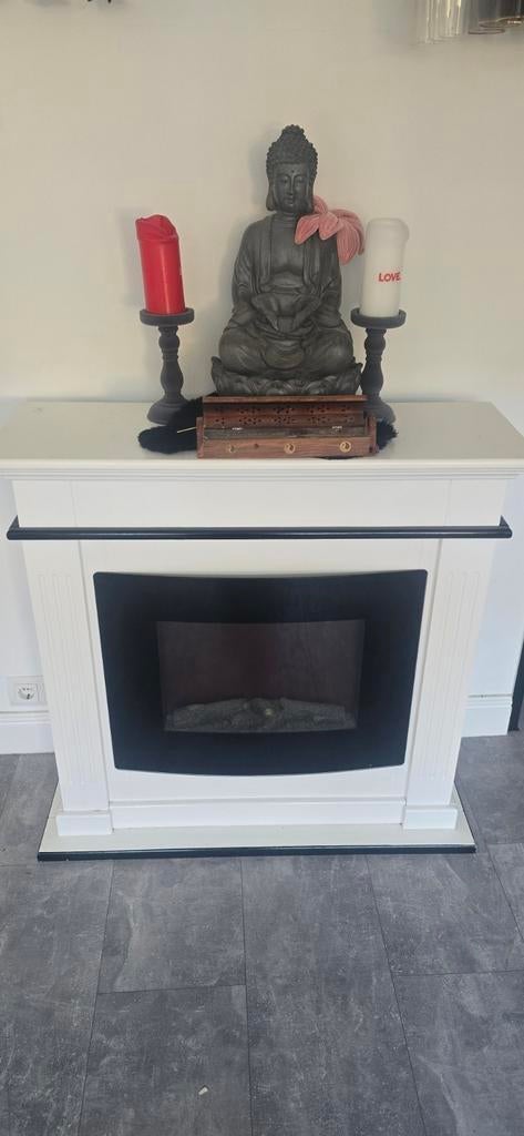 Sfeerhaard met wand (verwarming en verlichting), Ophalen of Verzenden, Zo goed als nieuw, Vrijstaande haard, Elektrische haard