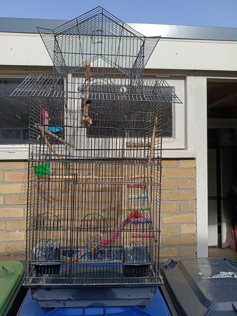 Vogelkooi, Dieren en Toebehoren, Ophalen
