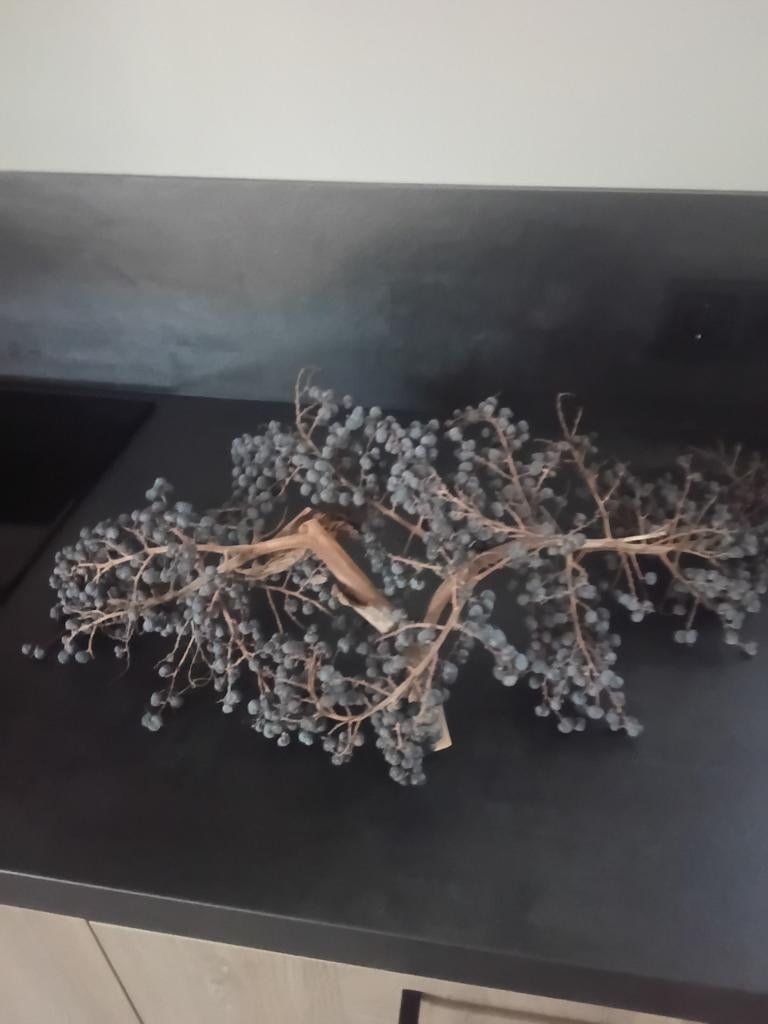 Grote dadeltak, Ophalen, Zo goed als nieuw