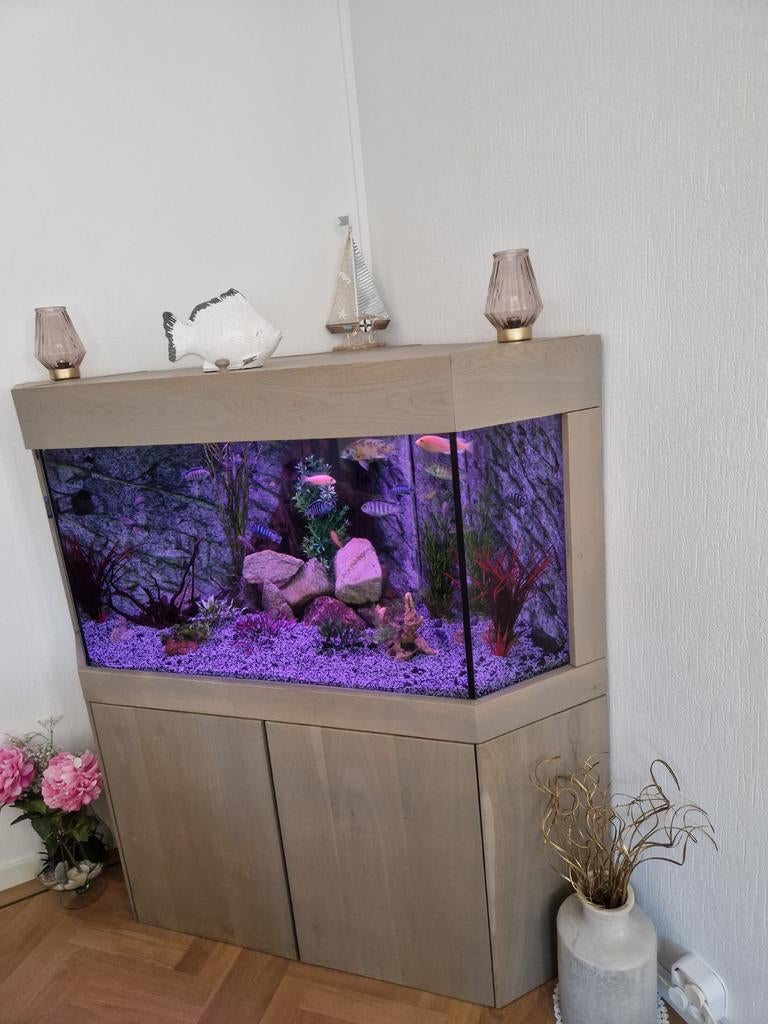 Te koop hoek aquarium., Dieren en Toebehoren, Ophalen