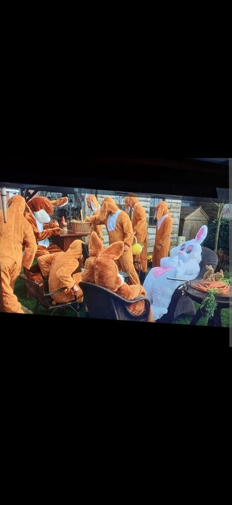 Paashaas kostuum, Ophalen of Verzenden