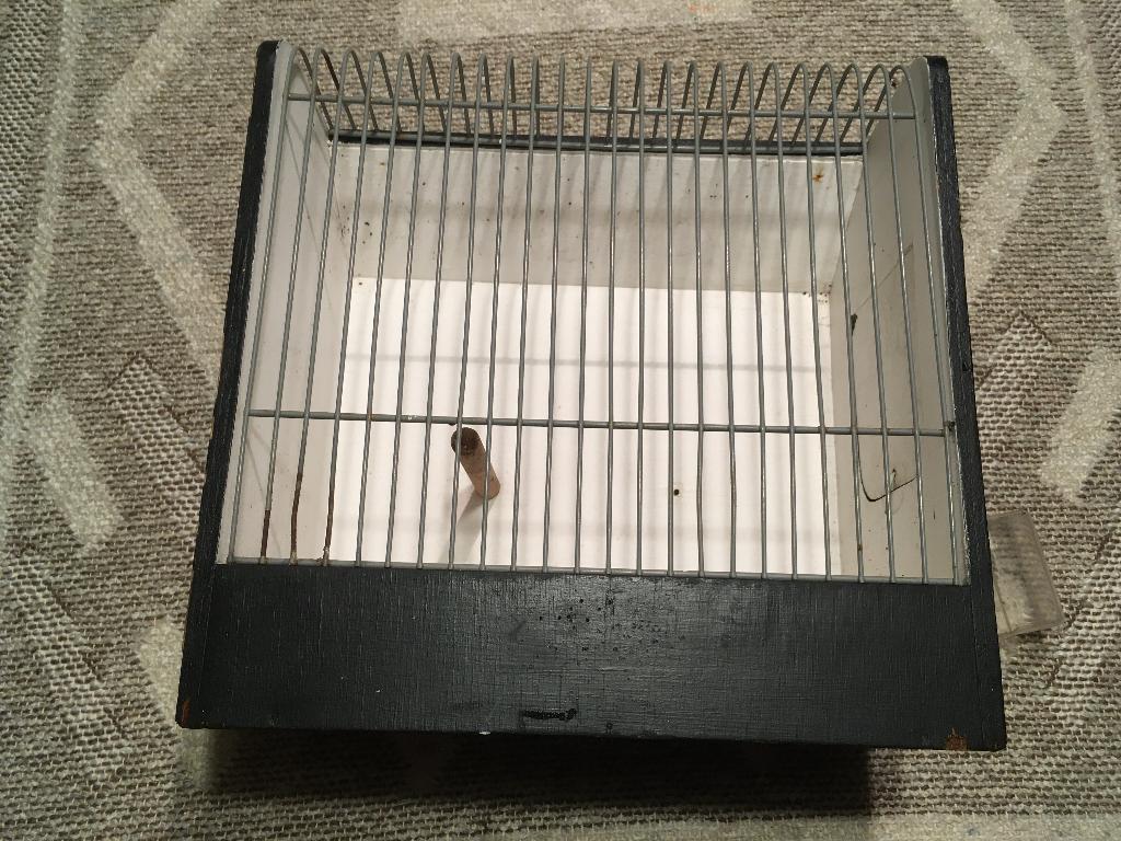 vogelkooi hout tentoonstelling + andere kooi, Dieren en Toebehoren, Vogels | Hokken en Kooien, Ophalen of Verzenden, Zo goed als nieuw