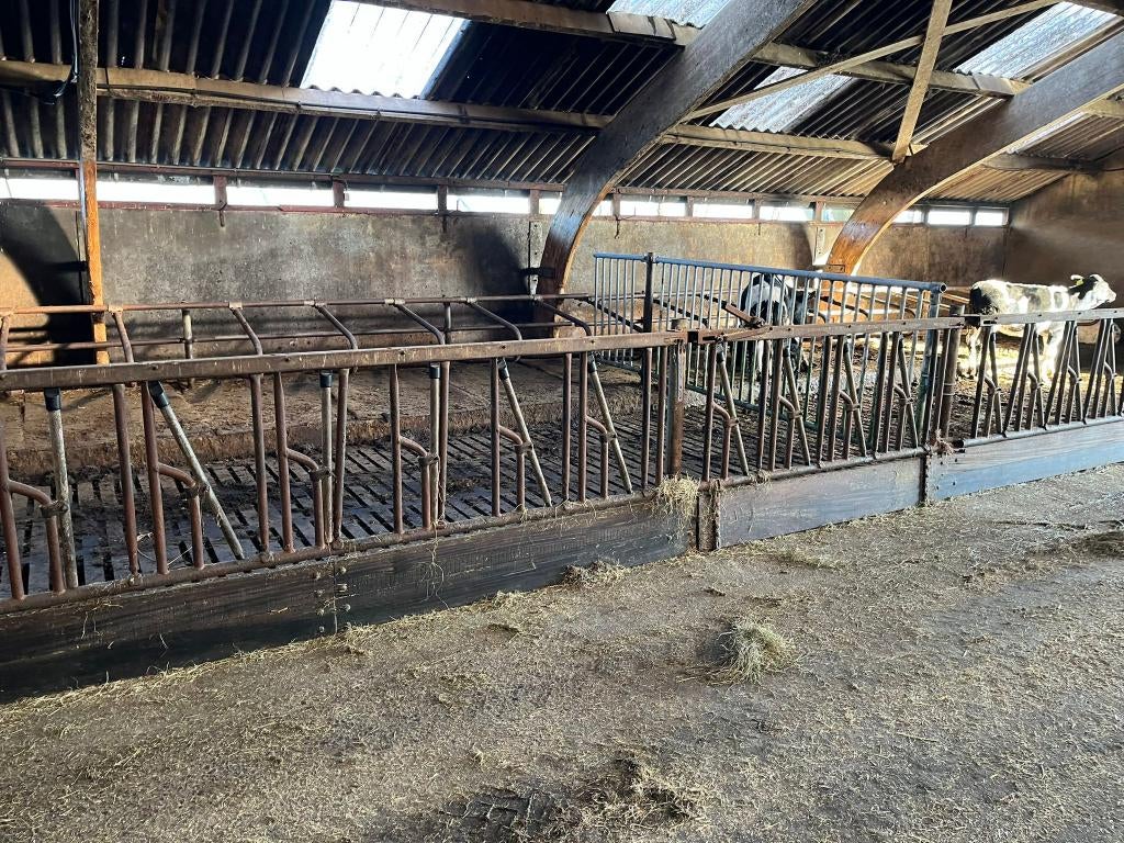 Jongvee voerhek stalinrichting, Dieren en Toebehoren