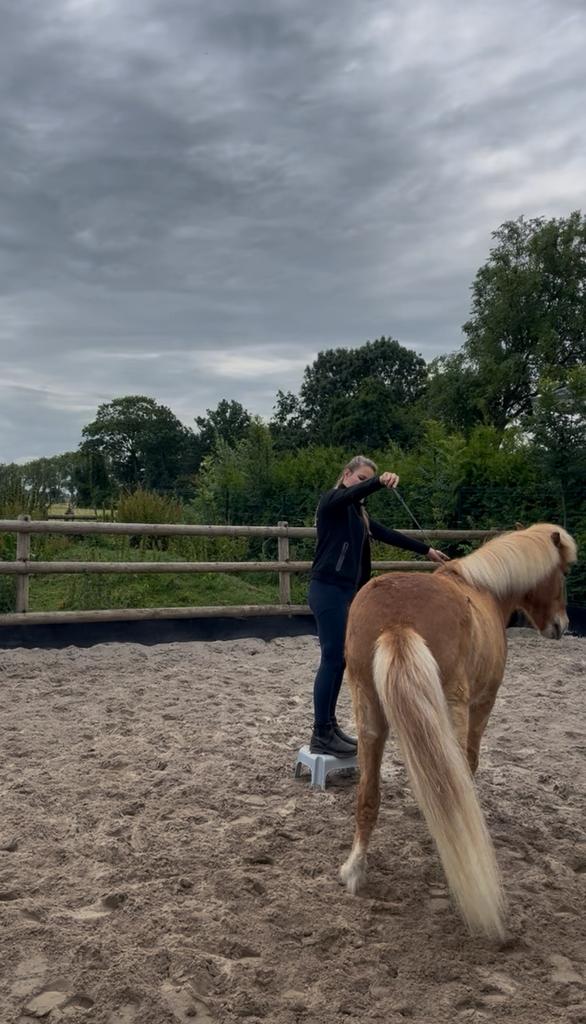 Liberty & verzorgpony, Verzorging of Verzorgpony's