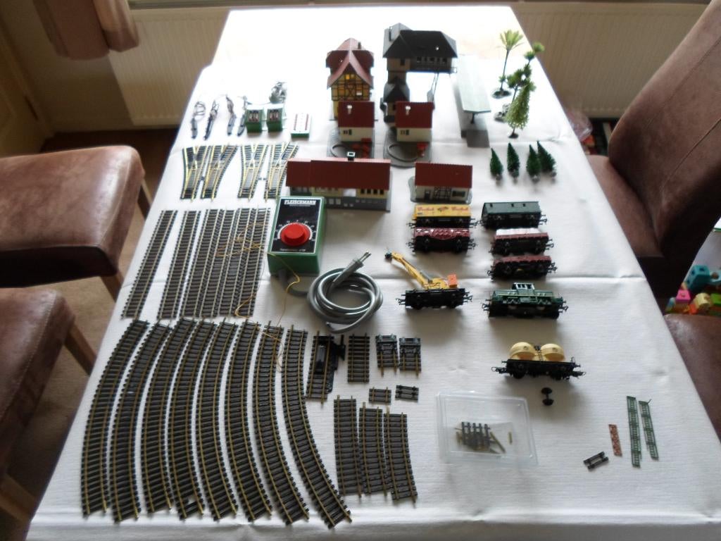 Fleischmann       Treinbaan   met   huisjes  en  bomen., Gelijkstroom, Fleischmann, Ophalen of Verzenden, Gebruikt