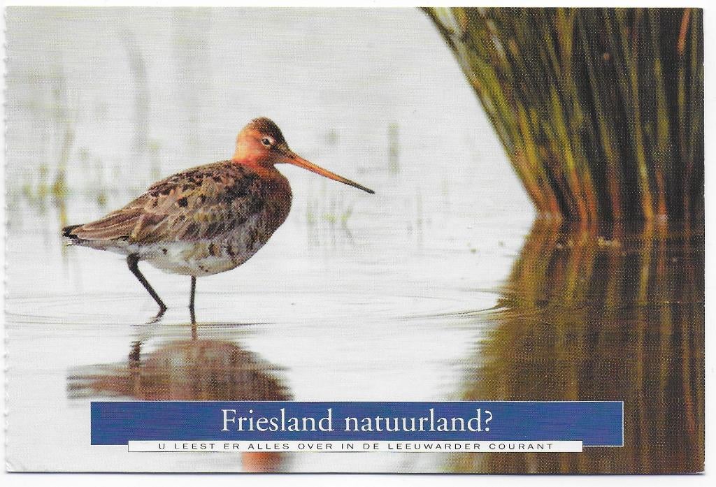 Friesland gelopen Ansichtkaart ( B2640 ), Verzamelen, Ansichtkaarten | Nederland, Verzenden, 1980 tot heden, Gelopen, Friesland