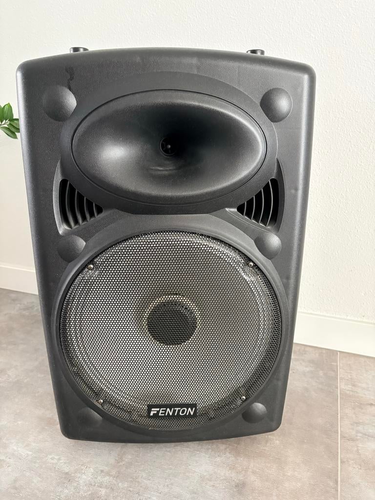 Fenton FPS15 Draagbare Geluidsinstallatie, Gebruikt, 120 watt of meer, Front, Rear of Stereo speakers, Ophalen
