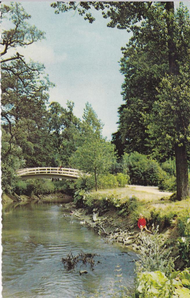 Valkenburg (L) Bruggetje over de Geul.  (1968), Ophalen of Verzenden, Voor 1920, Limburg