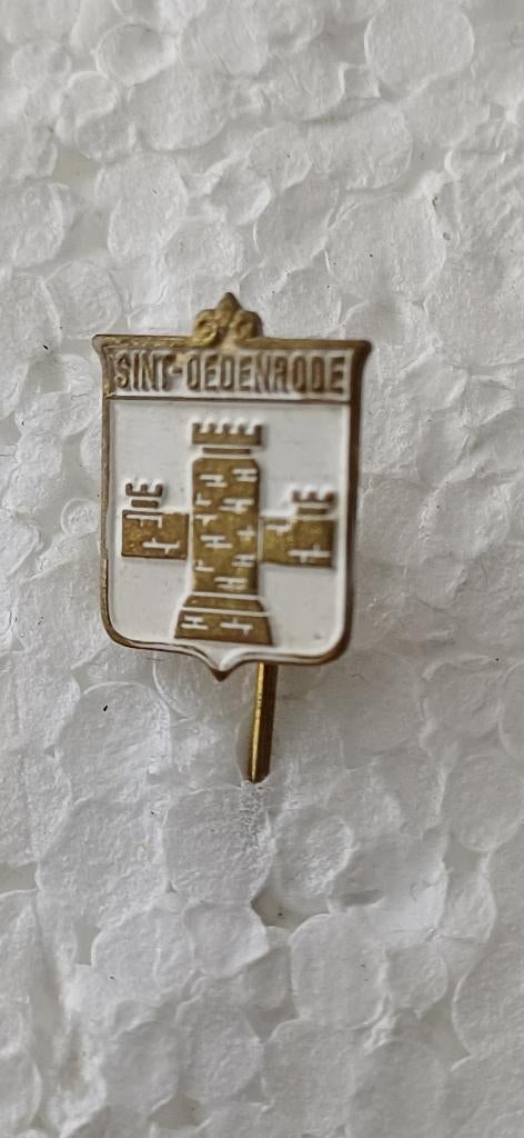 Sint Oedenrode burcht wapen, stads wapen, Verzamelen, Speldjes, Pins en Buttons, Ophalen of Verzenden, Zo goed als nieuw, Overige onderwerpen