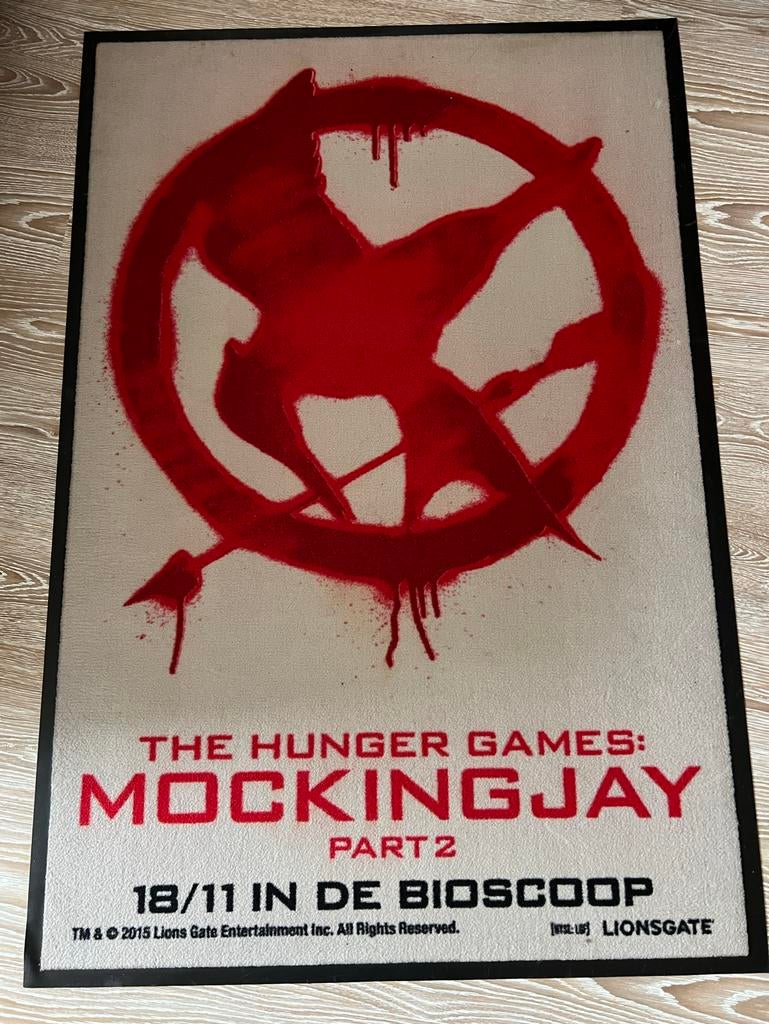 The HungerGames vloerkleed, Ophalen, Gebruikt, Rechthoekig, 200 cm of meer