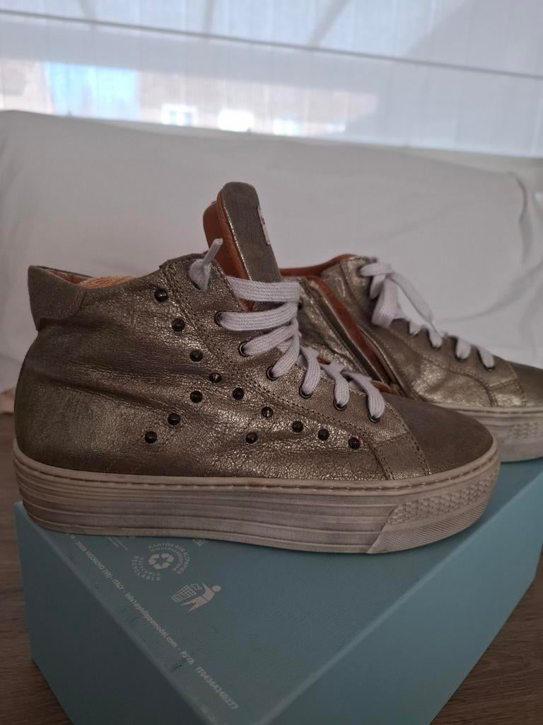 Andrea Morelli teew, Overige kleuren, Nieuw, Sneakers of Gympen, Andrea Morelli teew