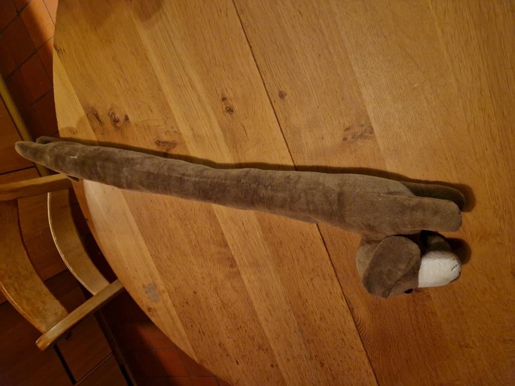 TOCHTROL, Ophalen of Verzenden, Bruin, Rechthoekig